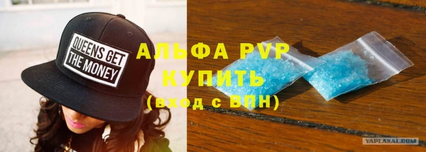 стаф Аркадак