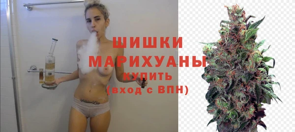 стаф Аркадак