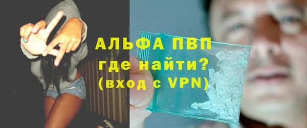 стаф Аркадак