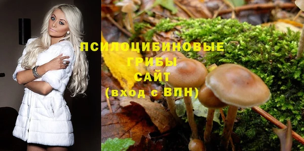 мдпв Арсеньев