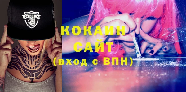 стаф Аркадак