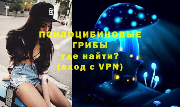 стаф Аркадак