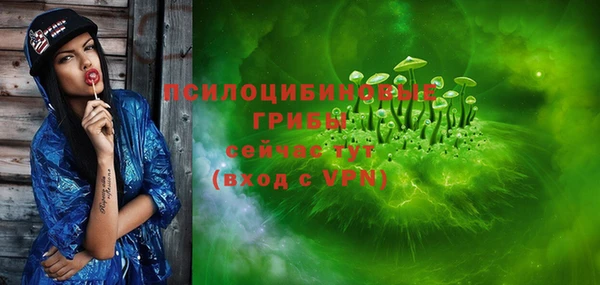 мдпв Арсеньев