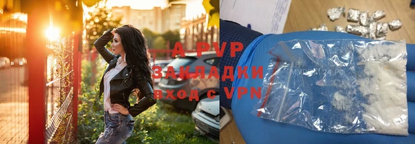 стаф Аркадак