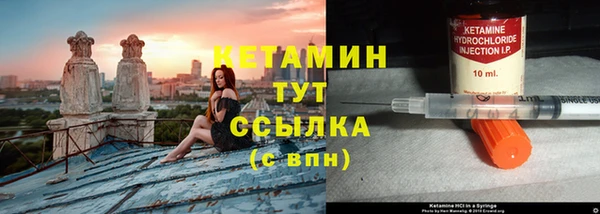 стаф Аркадак