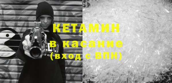 стаф Аркадак